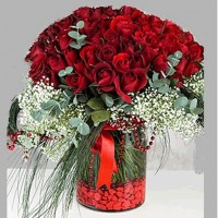 /album/anthurium/a101-gul-jpg/